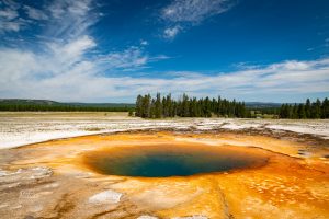 Art from Yellowstone National Park